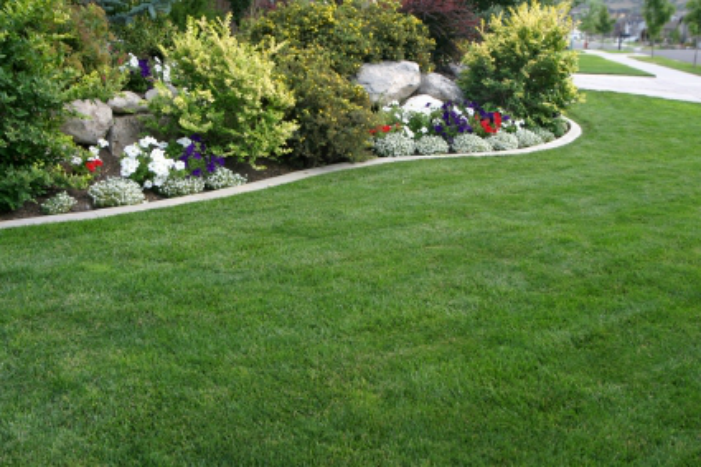 Image for Fresh Cut Lawns & Landscaping with ID of: 1848199