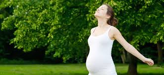 Image for Fertility Solutions Sunshine Coast with ID of: 1849059