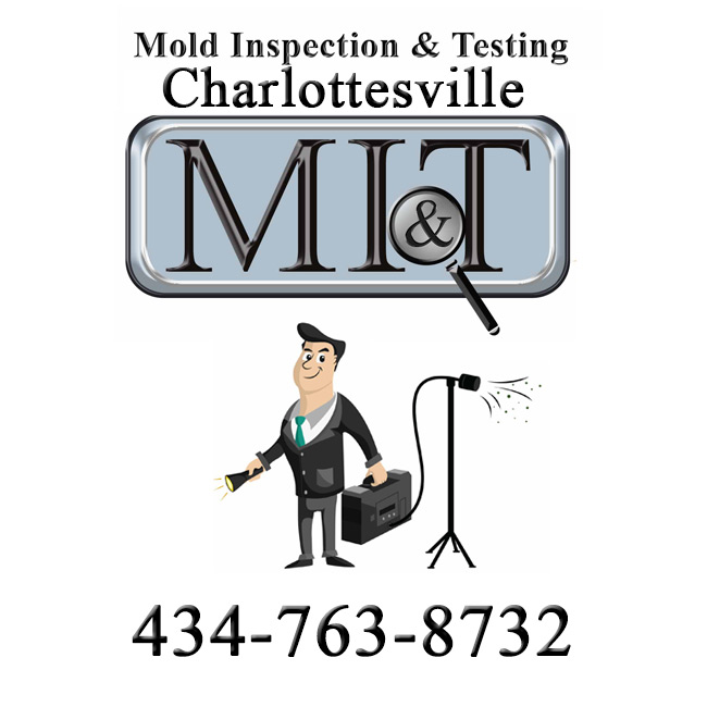 Image for Mold Inspection & Testing Charlottesville with ID of: 1849642