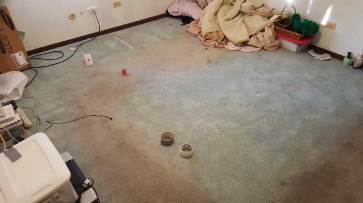 Image for Water Damage and Mold Removal with ID of: 1850975