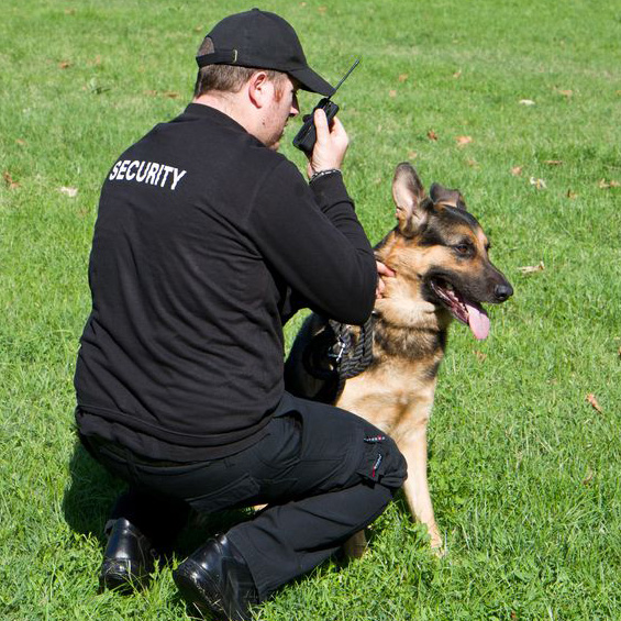 Image for Jil Protective Service with ID of: 1851818