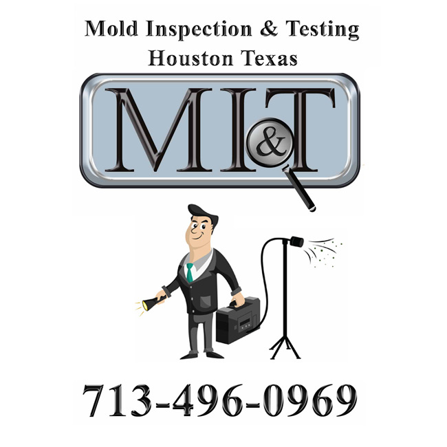 Image for Mold Inspection & Testing Houston TX with ID of: 1852399