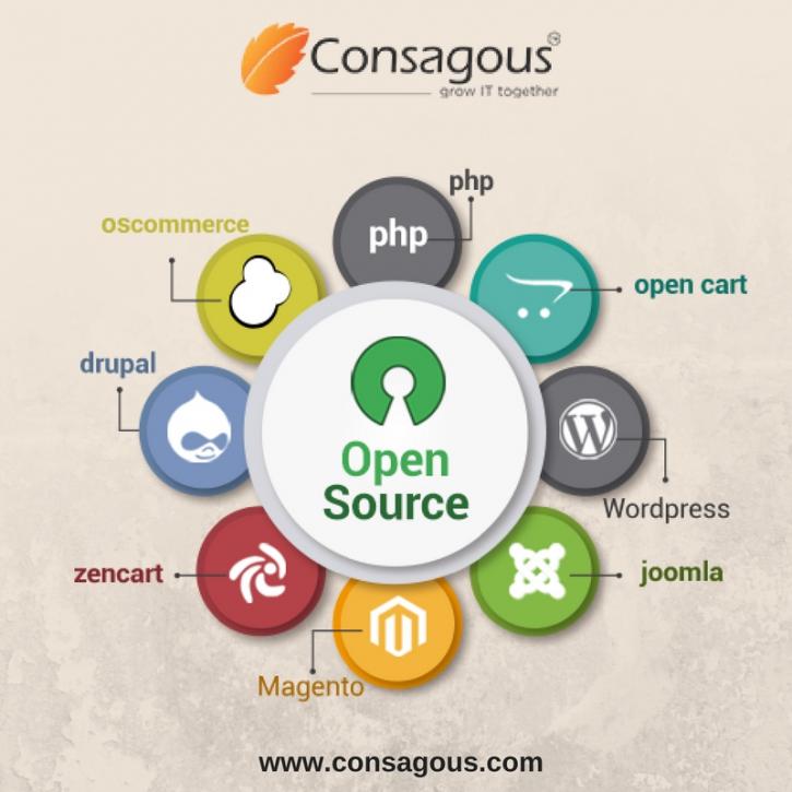 Image for Hire Open Source Developers for Web Development with ID of: 1857215
