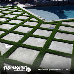 Image for Replicated Grass Systems with ID of: 1860438