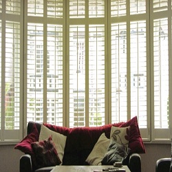 Image for Blinds by JoAnn with ID of: 1861044