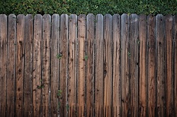 Image for PMC Fence Staining with ID of: 1862796