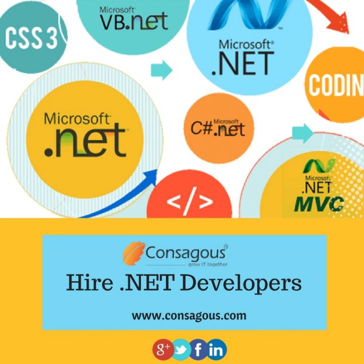 Image for Hire .NET Developers  for Complete Web Solutions with ID of: 1864014