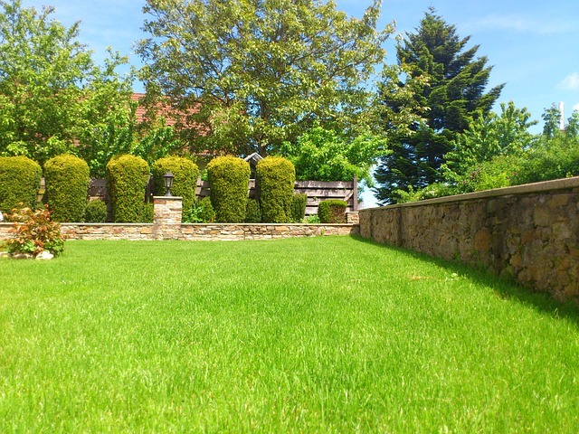Image for Tention and Son Lawn Service with ID of: 1866219