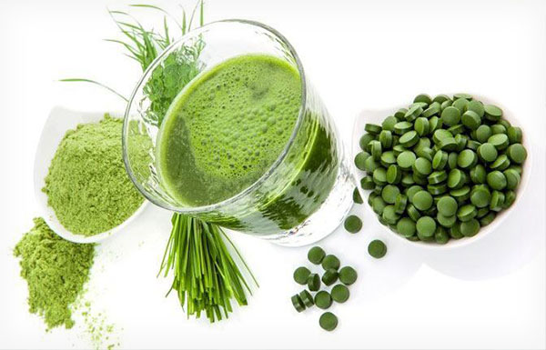 Image for Global Chlorella Market Size & Share Research Analysis and Forecast, 2016 – 2024 with ID of: 1867663