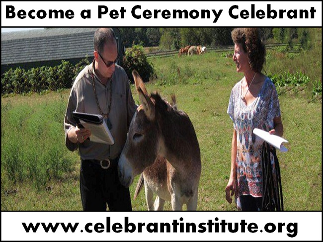 Image for Start Your Second Career as Pet Ceremony Celebrant with ID of: 1868055