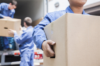Image for Best Movers with ID of: 1870041