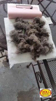 Image for Doll Bros. Carpet Dry Cleaning with ID of: 1872065