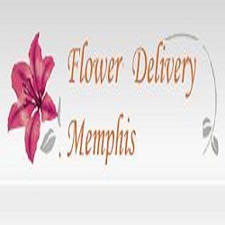 Image for Kevin Flower Delivery Memphis with ID of: 1872968