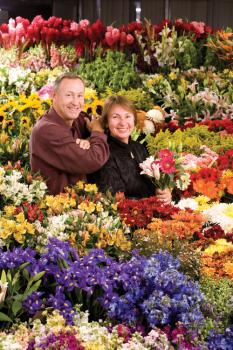 Image for MyFlorist with ID of: 1873508