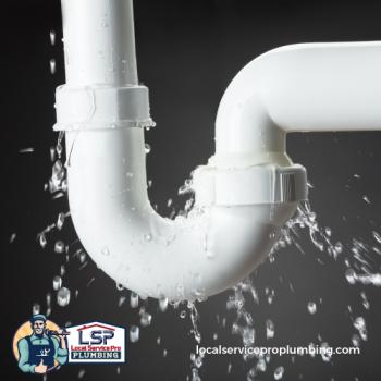 Image for Local Service Pro Plumbing with ID of: 1875330