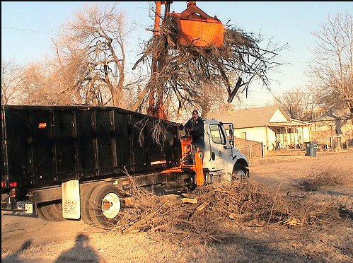 Image for Simi Valley Tree Care with ID of: 1877423