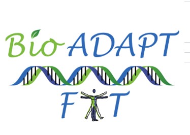 Image for Bio Adapt Fit with ID of: 1878034