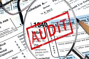 Image for Income Tax & IRS Audit with ID of: 1878519