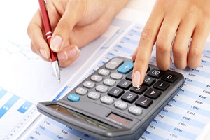 Image for Income Tax & IRS Audit with ID of: 1878521