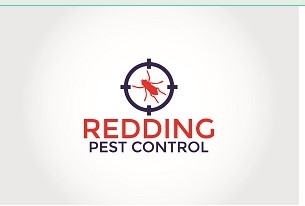 Image for Redding  with ID of: 1878774