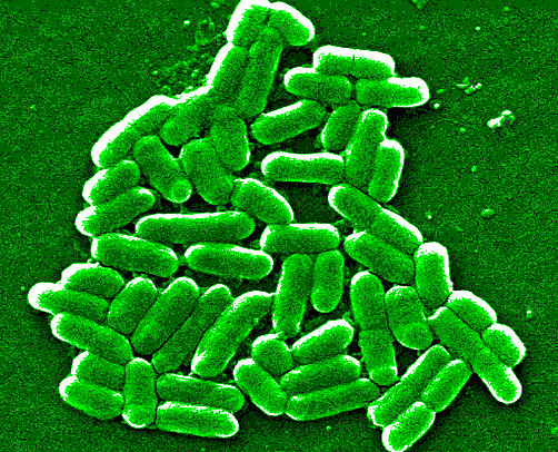 Image for Laboratory Services Jacksonville with ID of: 1878815