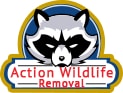 Image for Action Wildlife Removal with ID of: 1878933