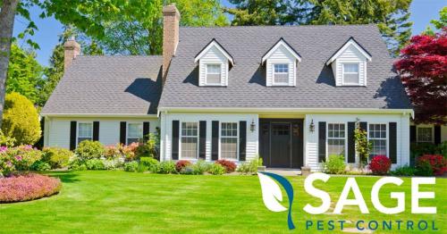 Image for Sage Pest Control with ID of: 1883045