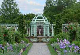 Image for Pergola Team with ID of: 1886979