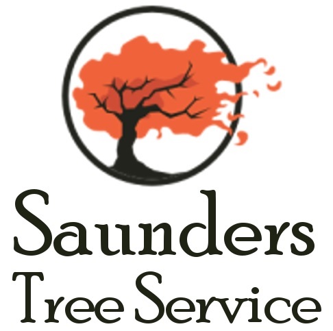 Image for Saunders Tree Service LLC with ID of: 1888889