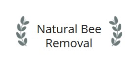 Image for Natural Bee Removal South FL with ID of: 1889902