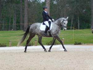 Image for August 9th - USEF/USDF Recognized Dressage Show with ID of: 1891768