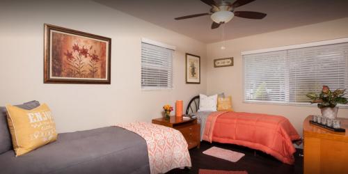 Image for The Haven Detox with ID of: 1892169