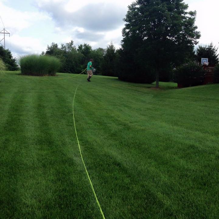 Image for Green Pro Lawns with ID of: 1892203