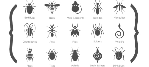Image for Termite and Pest Control, Inc. with ID of: 1894126