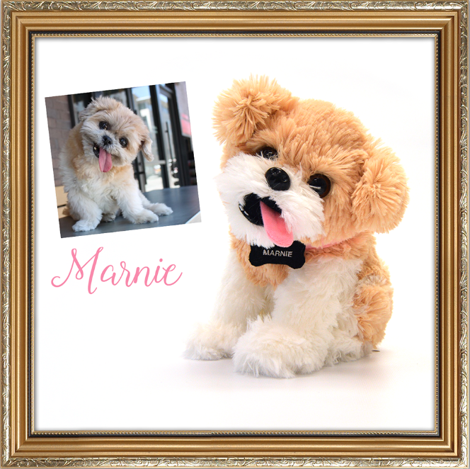 Image for Turn your pets into custom stuffed animals! with ID of: 1896988