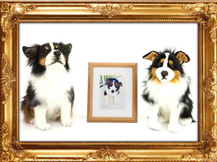 Image for The Perfect Gift with ID of: 1897546