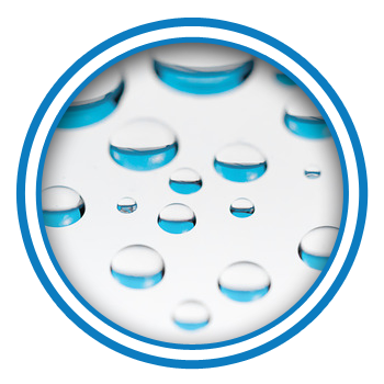 Image for Mold Testing & Inspection Phoenix - Mold Removal & Remediation with ID of: 1900517