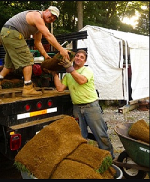 Image for Atlantis Landscaping, Inc with ID of: 1900644