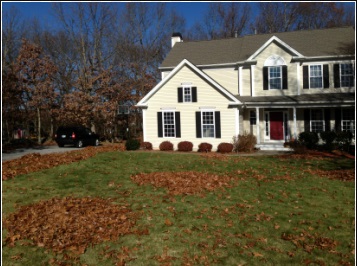 Image for Atlantis Landscaping, Inc with ID of: 1900645