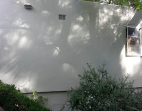 Image for Rabin Painting Services with ID of: 1902681