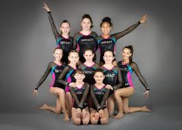 Image for Impact Gymnastics Academy with ID of: 1904505