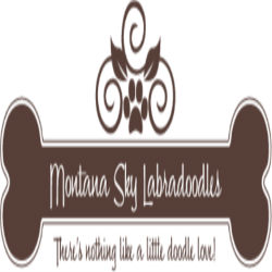 Image for Montana Sky Labradoodles with ID of: 1905561