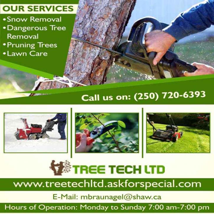 Image for Tree Tech Ltd | Dangerous Tree Assessment with ID of: 1907190