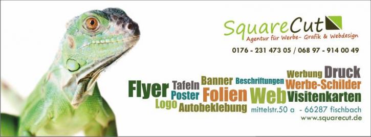Image for Squarecut with ID of: 1908177