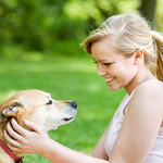 Image for Success Dog Training with ID of: 1908892