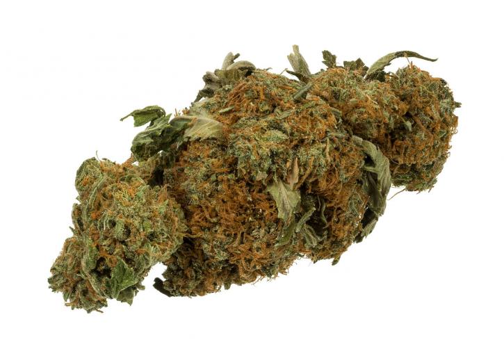 Image for Medicinal Cannabis Market Size ,Share and Forecast upto 2024 with ID of: 1911329