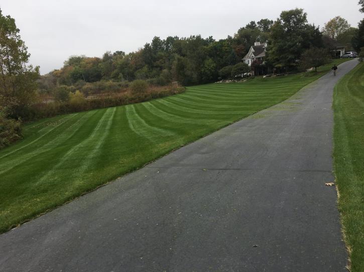 Image for Empire Landscaping & Leveling with ID of: 1913332