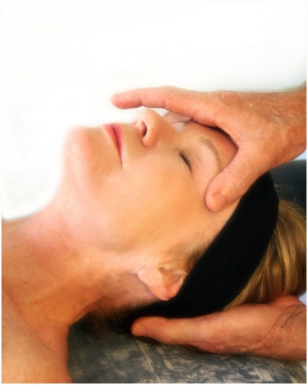 Image for The Therapeutic Bodyworker with ID of: 1914318