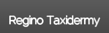 Image for Regino Taxidermy with ID of: 1914371