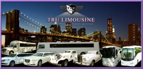 Image for TRU Limousine with ID of: 1916192